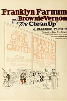The Clean-up (1917) afişi