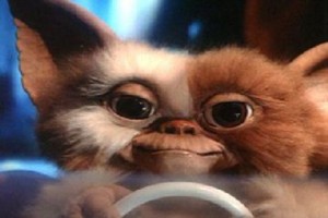 Gremlinler Fotoğrafı