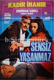Sensiz Yaşanmaz (1974) afişi