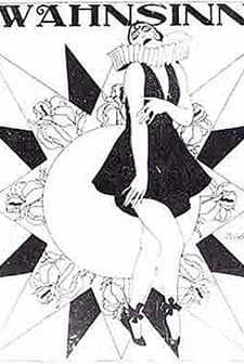 Wahnsinn (1919) afişi