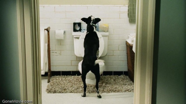 Aman Tanrım! fotoğrafı