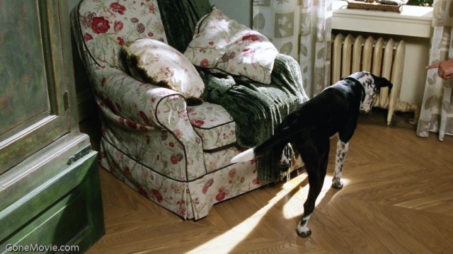 Aman Tanrım! fotoğrafı