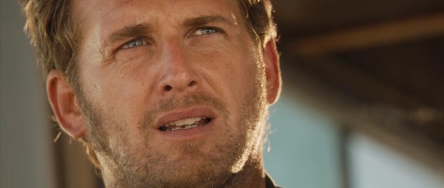 Kırmızı Köpek fotoğrafı