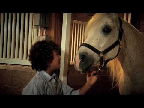 Wildfire:the Arabian Heart Fotoğrafı