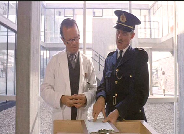 Otomatik Portakal Fotoğrafı