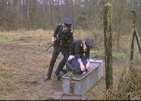 Otomatik Portakal Fotoğrafı