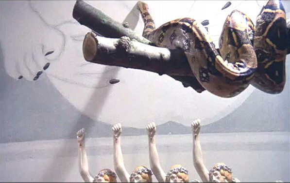 Otomatik Portakal Fotoğrafı