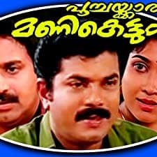 Poochakkaru Mani Kettum (1994) afişi