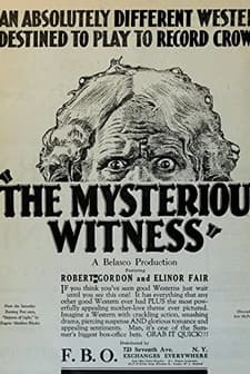 The Mysterious Witness (1923) afişi