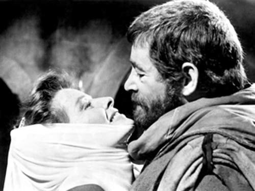 The Lion in Winter Fotoğrafı