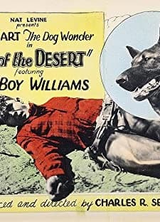 Rose of the Desert (1925) afişi