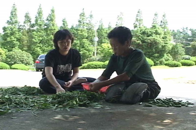 Lady Camellia Fotoğrafı