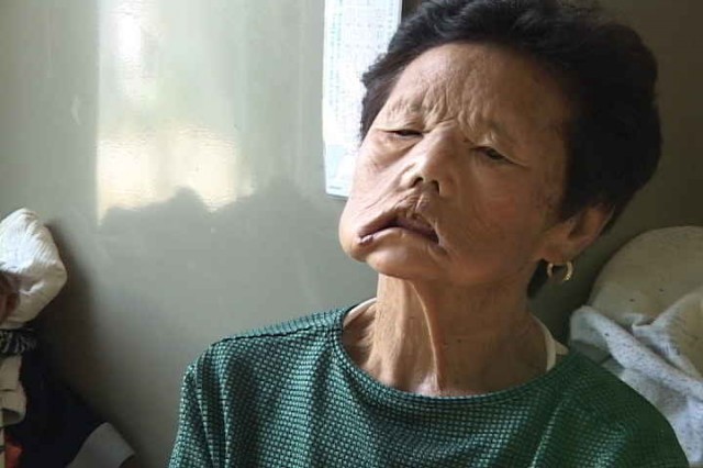 Lady Camellia fotoğrafı