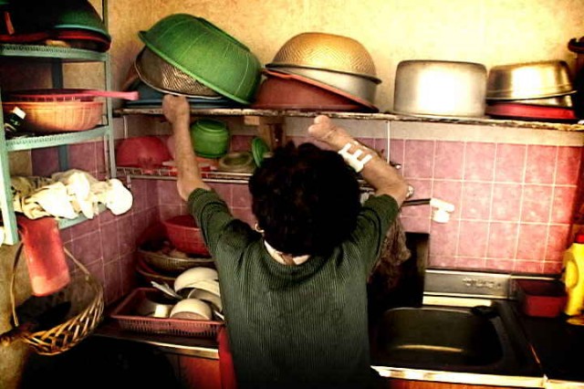 Lady Camellia fotoğrafı