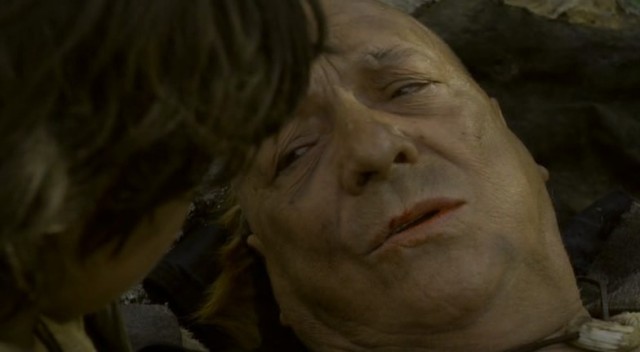 Among Wolves Fotoğrafı