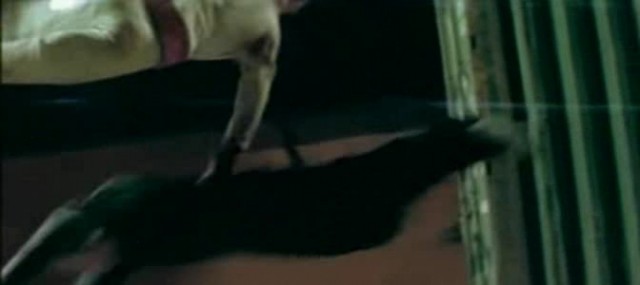 ölümcül Temas Fotoğrafı