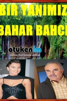 Bir Yanımız Bahar Bahçe (1994) afişi