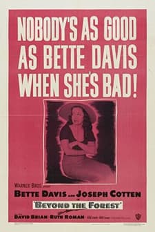 Beyond The Forest (1949) afişi