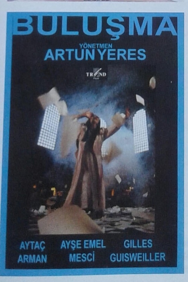 Buluşma (1994) afişi