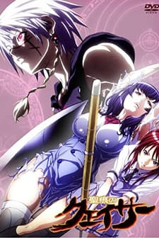 Seikon No Qwaser (2010) afişi