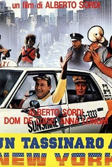 Un Tassinaro A New York (1987) afişi