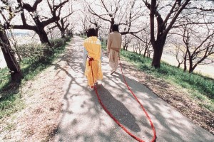 Bebekler Fotoğrafı