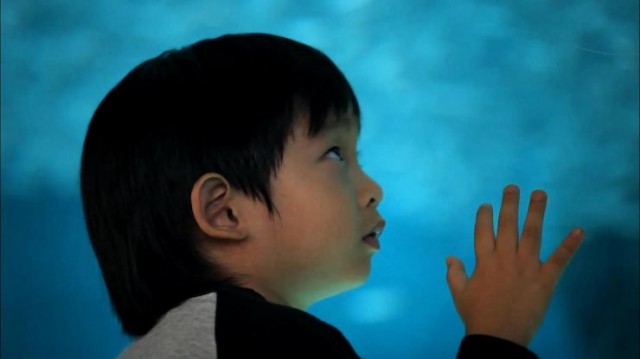 Enlightenment Fotoğrafı