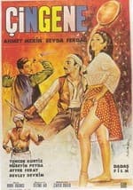 Çingene (1966) afişi