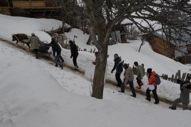 Kar Beyaz Fotoğrafı