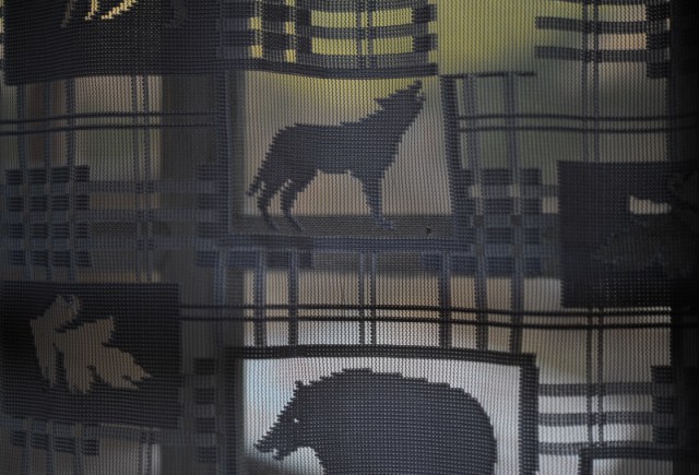 Kar Beyaz Fotoğrafı