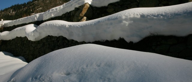 Kar Beyaz Fotoğrafı