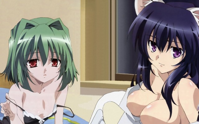 Omamori Himari Fotoğrafı