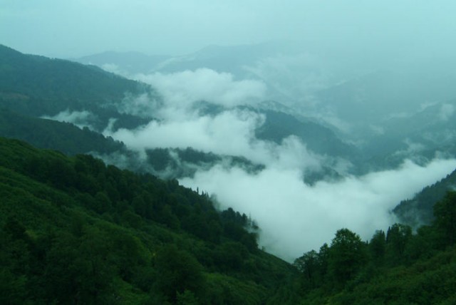 Anadolu'nun Kayıp şarkıları Fotoğrafı