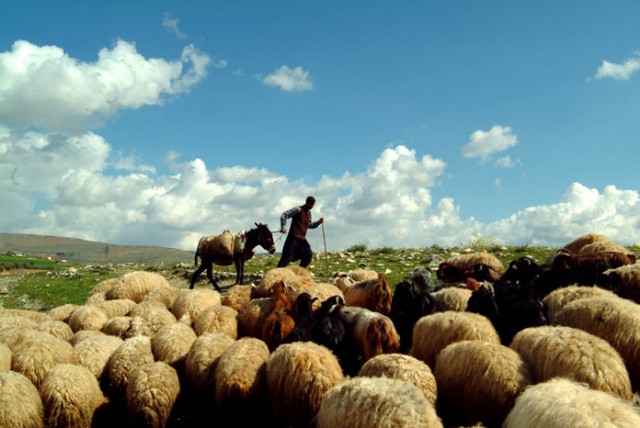 Anadolu'nun Kayıp şarkıları Fotoğrafı