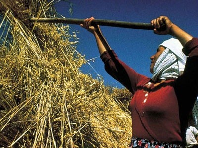 Anadolu'nun Kayıp şarkıları Fotoğrafı