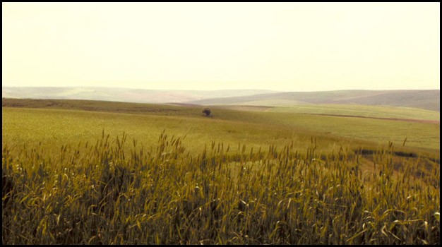 Anadolu'nun Kayıp şarkıları Fotoğrafı