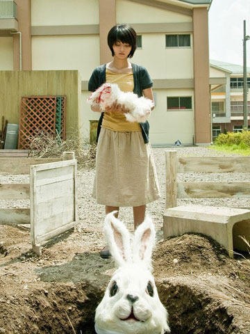 Tavşan Dehşeti Fotoğrafı