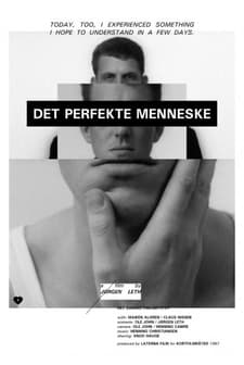 Kusursuz İnsan (1967) afişi