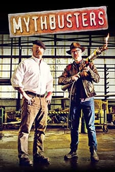 Evsane Avcıları (2003) afişi