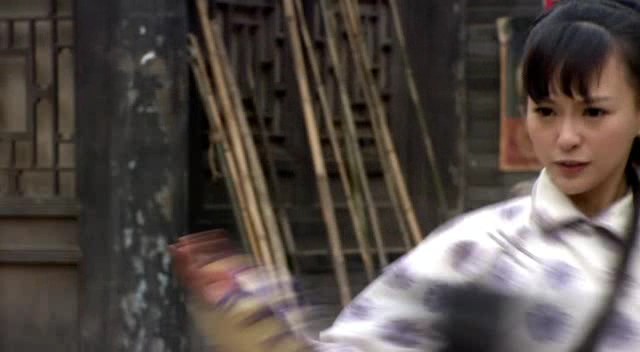 Kung Fu Ustası Fotoğrafı