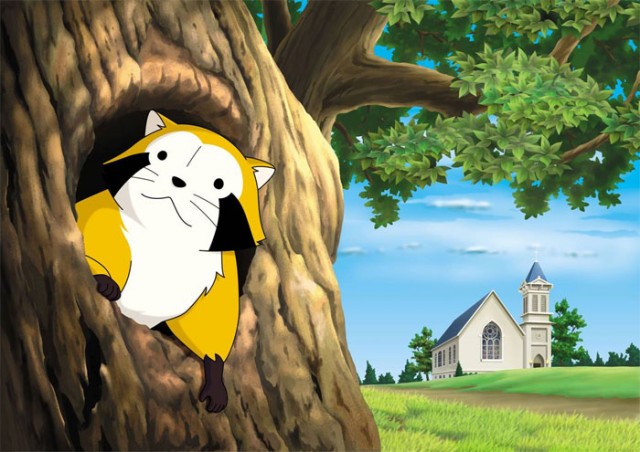 Rascal The Raccoon Fotoğrafı