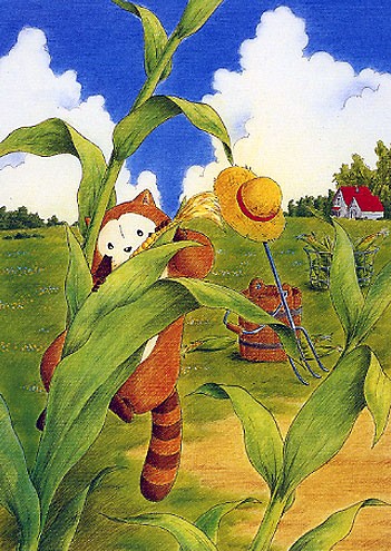 Rascal The Raccoon Fotoğrafı