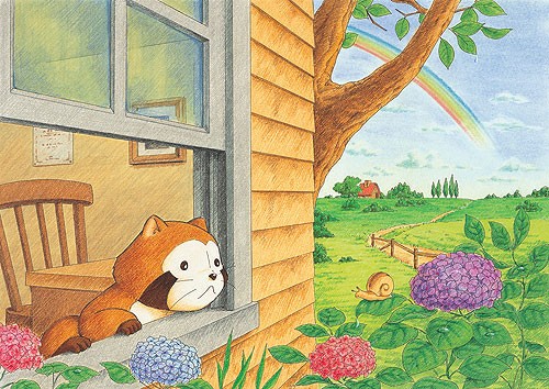 Rascal The Raccoon Fotoğrafı