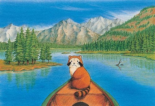 Rascal The Raccoon fotoğrafı