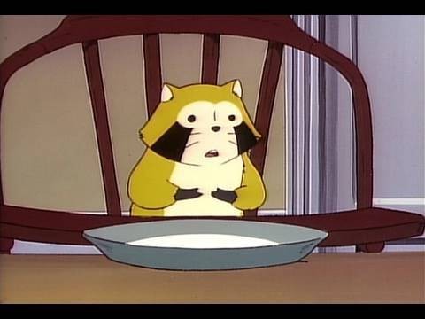 Rascal The Raccoon fotoğrafı