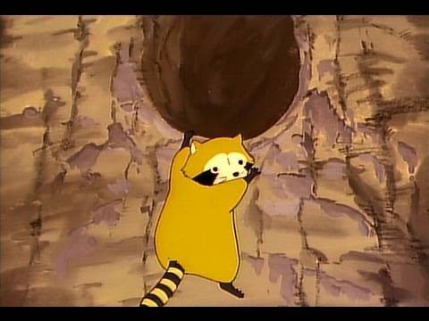 Rascal The Raccoon fotoğrafı