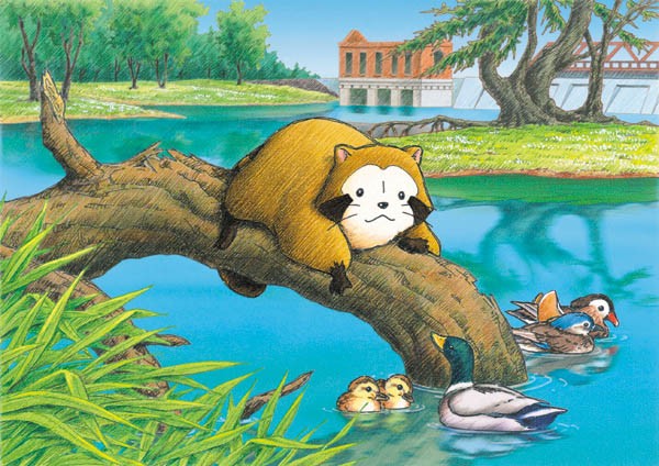 Rascal The Raccoon fotoğrafı