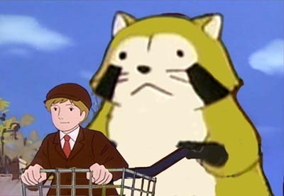 Rascal The Raccoon Fotoğrafı