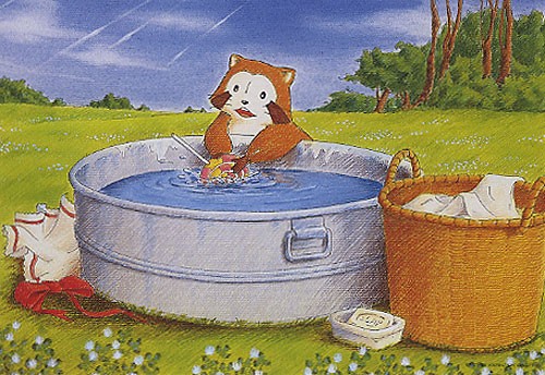 Rascal The Raccoon Fotoğrafı