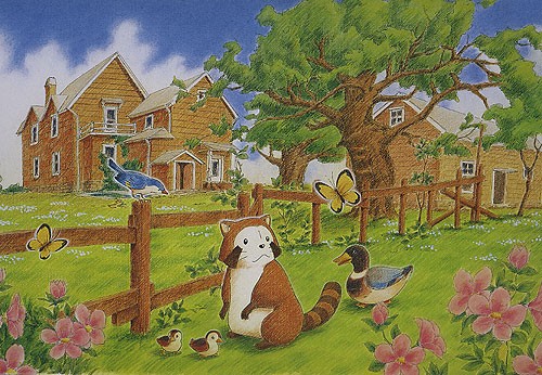 Rascal The Raccoon Fotoğrafı